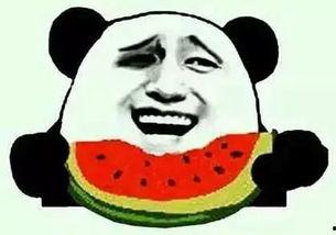 吃瓜群众女友,她背后的故事与情感纠葛