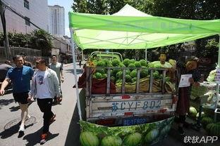 徐州大学吃瓜,吃瓜群众揭秘校园热点事件