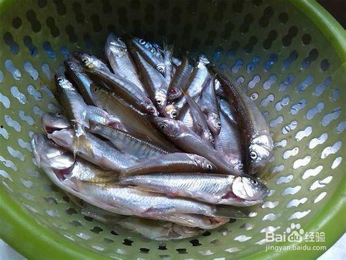 小鱼吃角瓜,一场奇妙的味蕾之旅