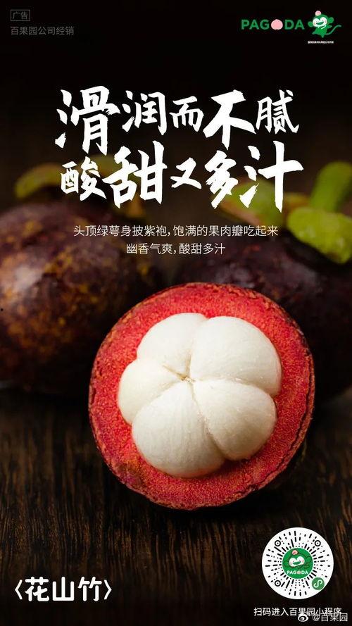 吃瓜号没了文案,揭秘网络舆论背后的真相