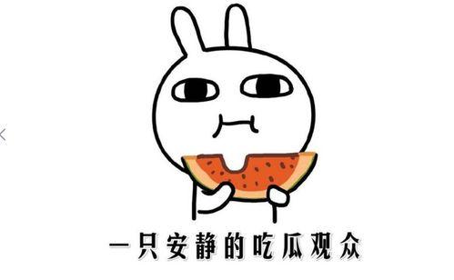 _嗑瓜子吃瓜图,揭秘网络热议背后的趣味与深思